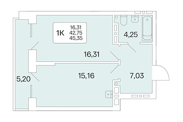 1-комнатная квартира 45,35 м² в Расцветай на Красном. Планировка