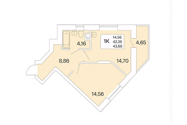 1-комнатная квартира 43,68 м² в Дом на Шамшиных. Планировка