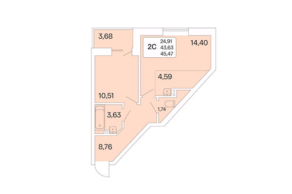 2-комнатная квартира 45,47 м² в Дом на Шамшиных. Планировка