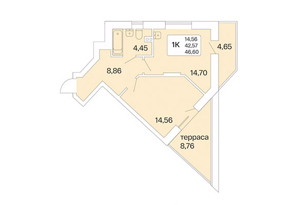 1-комнатная квартира 46,60 м² в Дом на Шамшиных. Планировка