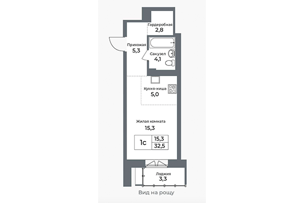 Студия 32,50 м² в ЖК Я Маяковский. Планировка